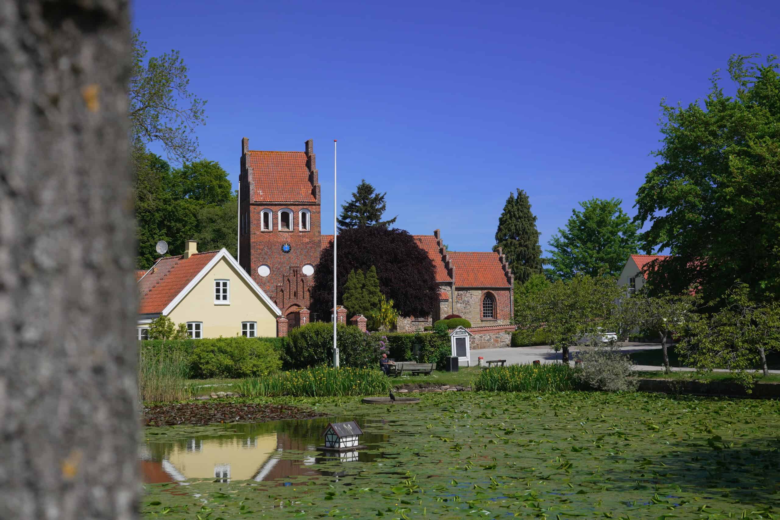 DSC02647